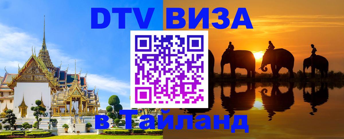 Сколько стоит DTV виза — актуальные цены, оформление даже без документов - 19.11.2025 